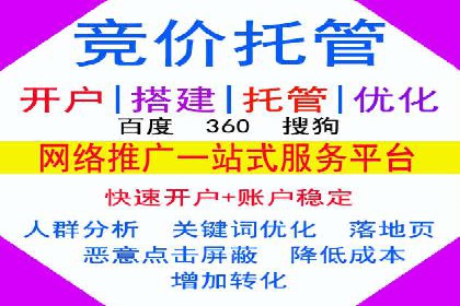 成功SEM服务案例：优化广告投放